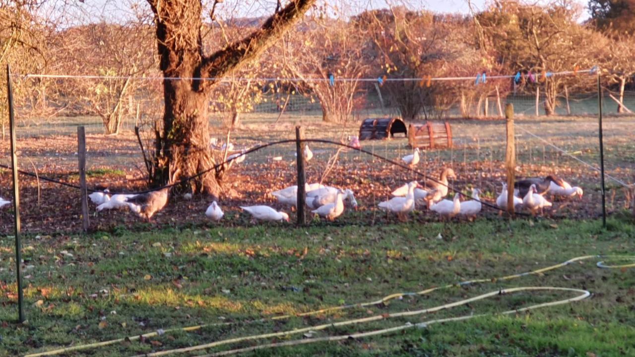 Grande Maison Avec Jardin, Animaux,Au Calme Yviers Exteriér fotografie